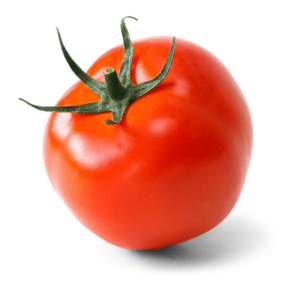 Tomato & Veggies